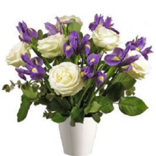 Irises And Roses