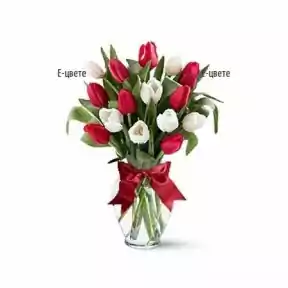 Bouquet of tulips (7 stems)