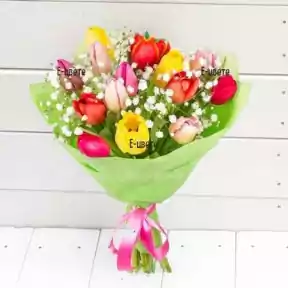 Tulips and gypsophila (Standard)