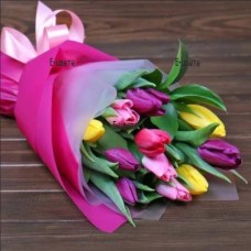 11 colourful tulips