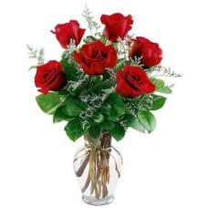 Vase and 7 roses