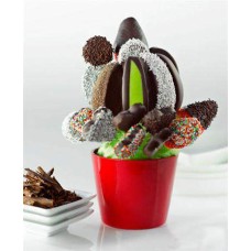 Chocolate Fantasy