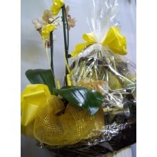Personalized Basket with Orchid Plant