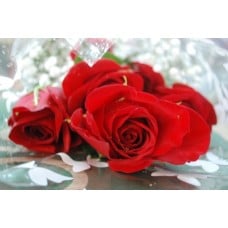 Rose Gift Wrapped