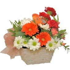 Spring flowers in a basket
