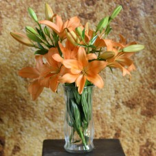 orange lilies