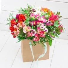 Mixed Alstroemeria (11 branches)