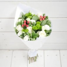 Serendipity (Premium)