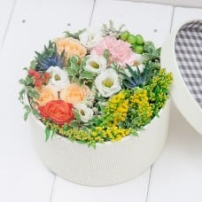 Flower Box Garden Delights