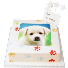 Paw Print Photo Cake