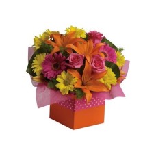 Starburst Splash - Flower Arrangement