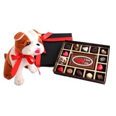 An extremely cute Puppy with a box of belgian chocolates and 'I Love You' Milk chocolate bar