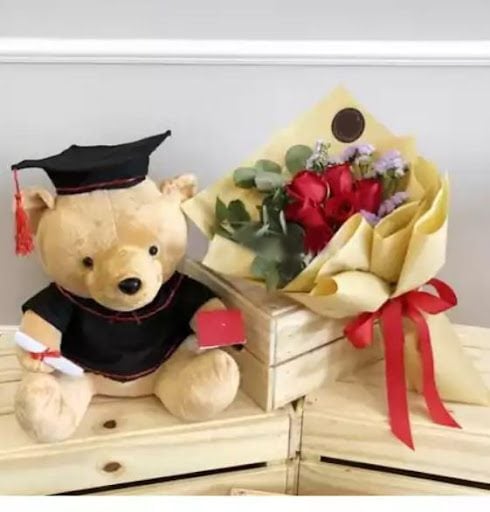 Convocation Set 01 (Convocation Bear + 12 Red Rose)