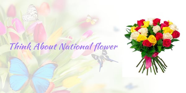 think about national flower of usa