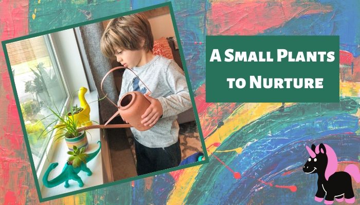 A Small Plant to Nurture A Small Plant to Nurture