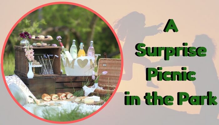 Surprise Picnic Park Surprise
