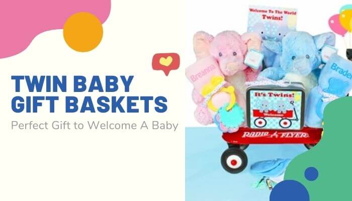 Twin Baby Gift Baskets