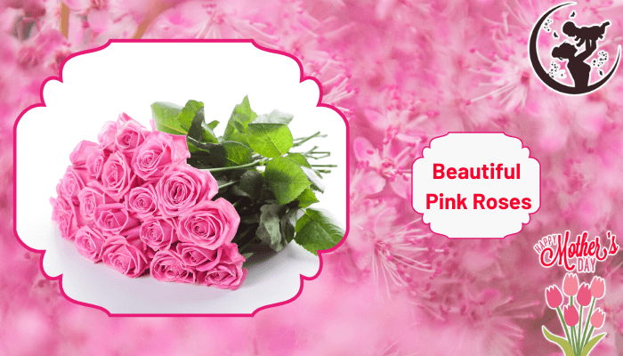 Beautiful Pink Roses