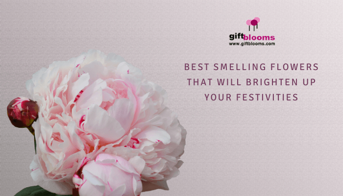 Best Smelling Flowers