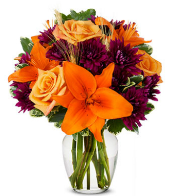 Bewitched Blooms