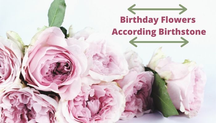 Choose Happy Birthday Flowers Online According to Their Birthmonth