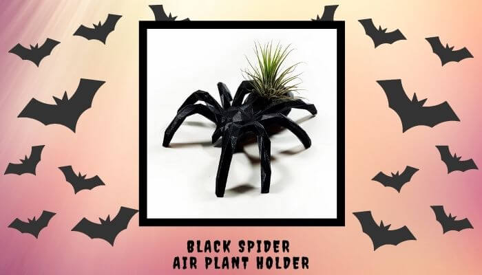 Black Spider Air Plant Holder