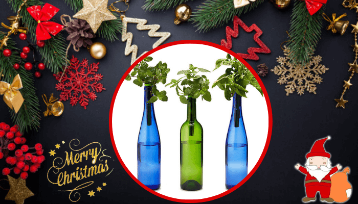 Bottle Stopper Garden Kit