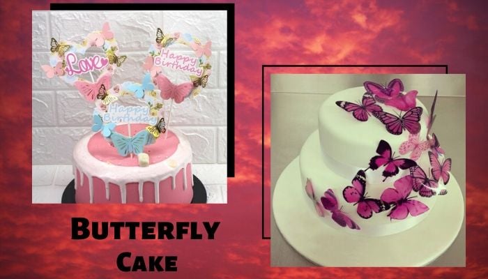 Butterfly Cake