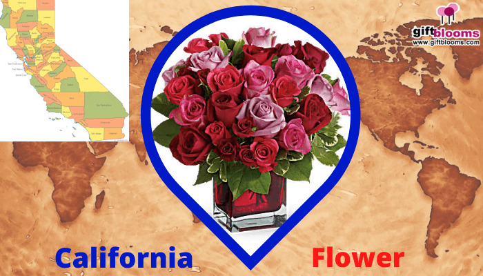 California- Flower