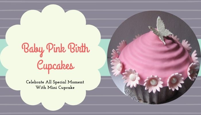 Mini Baby Pink Birth Cupcakes