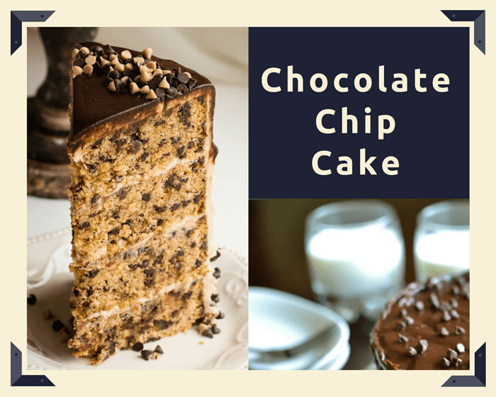 Chocolate Chip