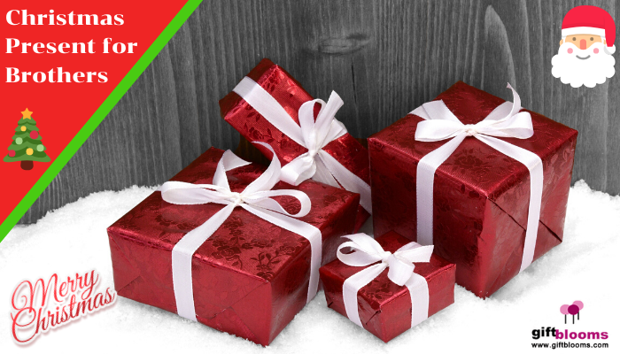 Christmas Present Ideas for Brothers