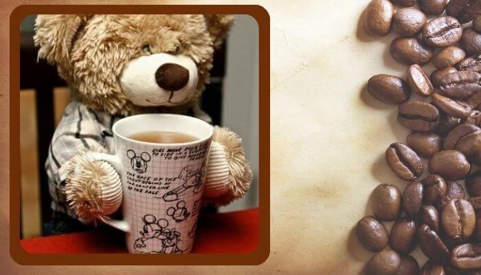 Coffee Lover Stuffed Animals