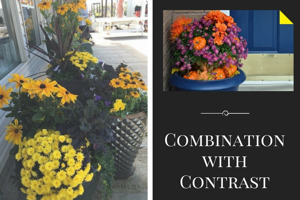 Combination With Contrast