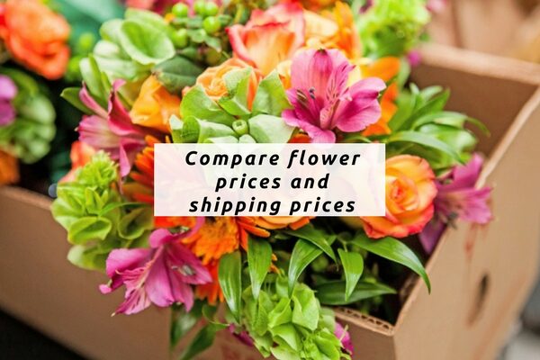 Compare flower prices and shipping prices