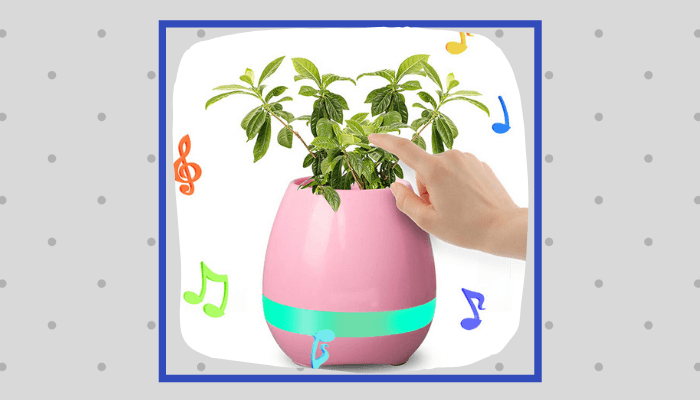 Music Flowerpot
