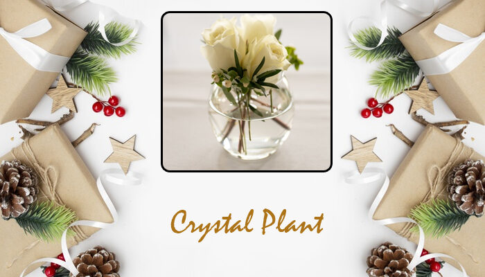 Crystal Plant