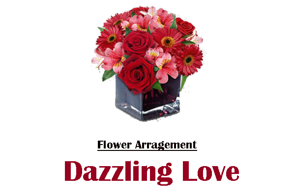Dazzling Love