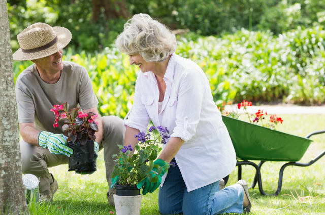 Do Gardening Together