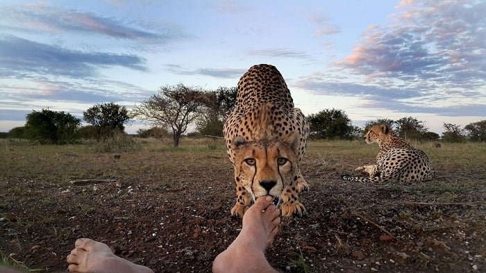 Do Something a Little Wild 