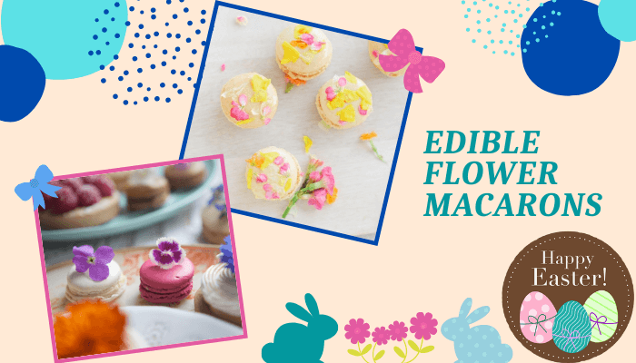 Edible Flower Macarons