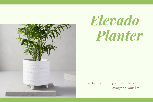 Elevado Planter
