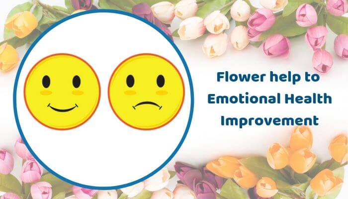 Flower help to Emotional Health Improvement
