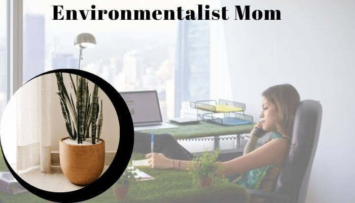 Environmentalist Mom