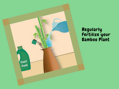 Regularly fertilize your bamboo plant