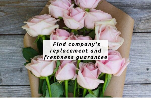 Find company's replacement and freshness guarantee