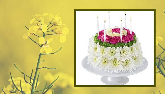 Flower Cake Bouquet