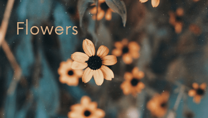 Flowers