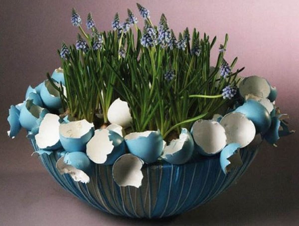 Flowers in Egg shells Flowers in Egg shells