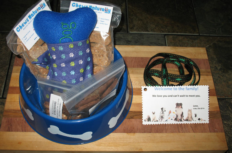 For the Four-legged Friends